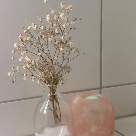 Apartment Rosengarden Bern